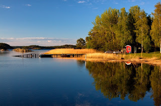 Till skogs