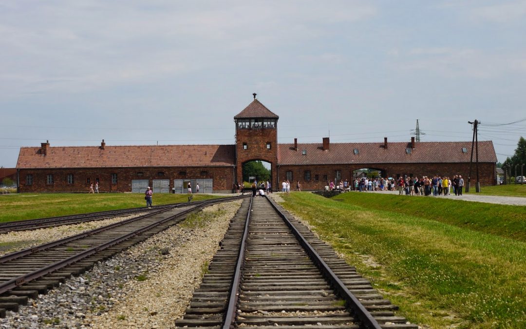 I Auschwitz kände jag ingenting