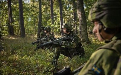 De som vill försvara Sverige – och de andra